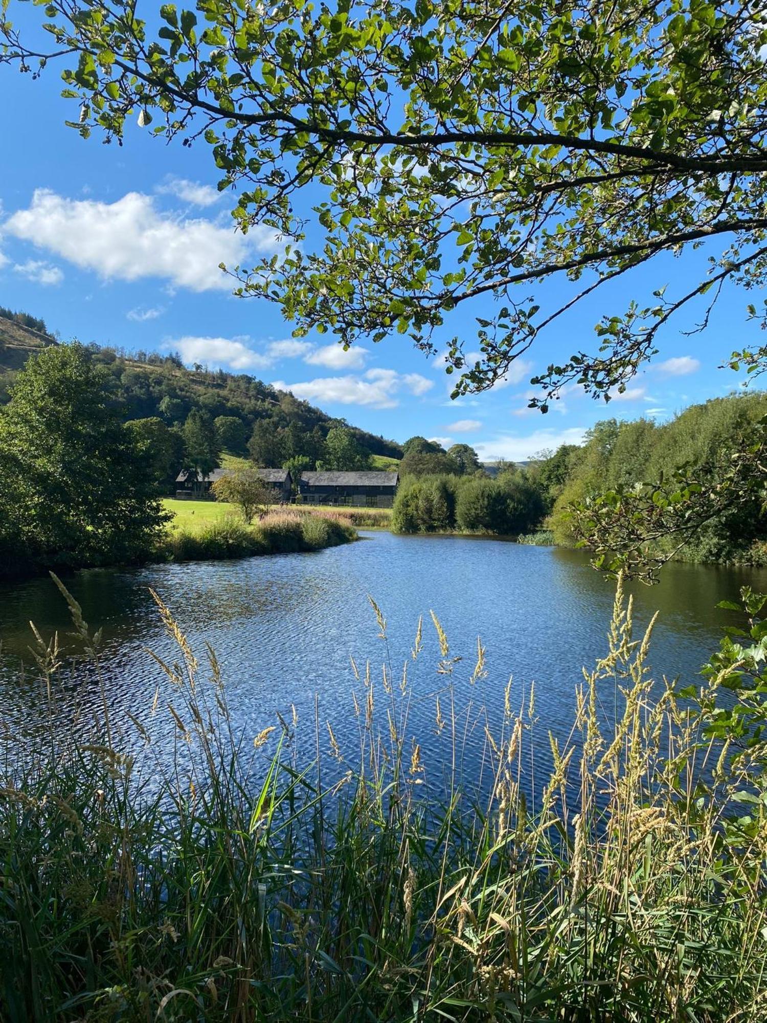 Lake Cottages At Cwm Chwefru Llanafan-fawr Εξωτερικό φωτογραφία